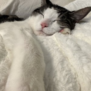 IMG_4033.jpeg