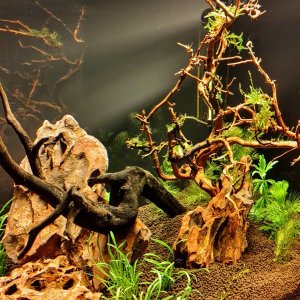 IMG_20230427_225210_hdr.jpg