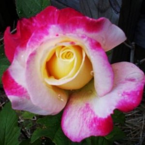 100_9627.jpg