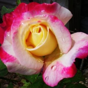 100_9628.jpg