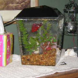 P1010003.JPG