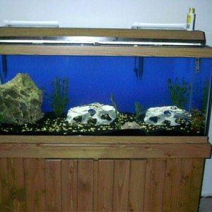 PerfectoSetup12.JPG