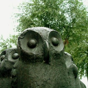 owls.jpg