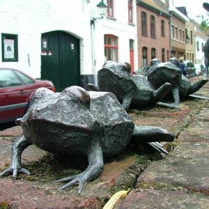 frogs.jpg