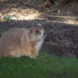 100_5968.JPG