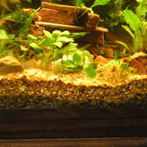 Andwer__s_fish_1_077.jpg