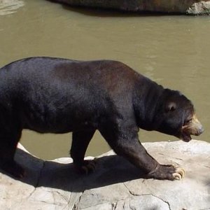 zoo6.jpg