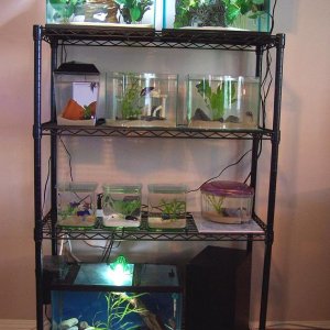 new_rack.jpg