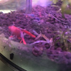 IMG_0290.jpeg