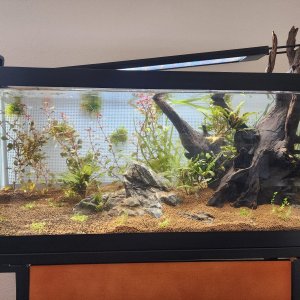 05-20-23 Day 2.jpg