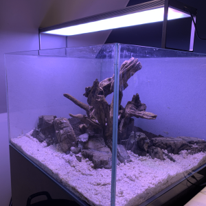 hardscape.png