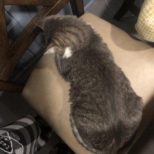 IMG_0376.jpeg