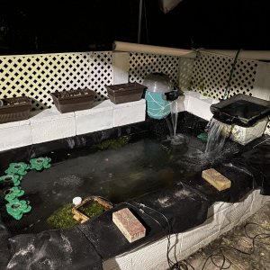 69102495717__D129D179-F4E5-4FEB-83DE-8D014F854502.jpeg
