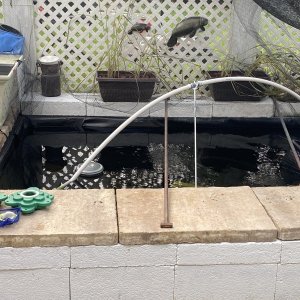 IMG_3601.jpeg