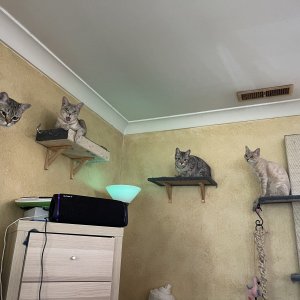 IMG_7500.jpeg