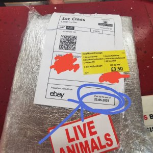 live animals parcel.jpg