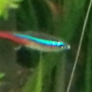 20230610_160630.jpg