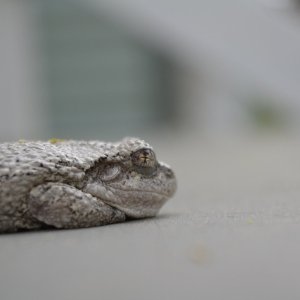 DSC_3224.JPG