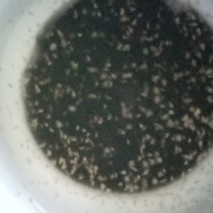 20230614_115349.jpg