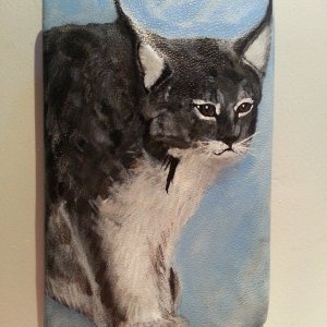 IMG_1066.jpeg