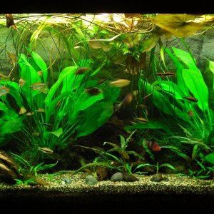 90g Apr 18-13.JPG