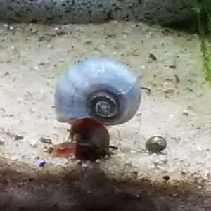 20230619_172453.jpg