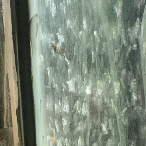 IMG_4087.jpeg