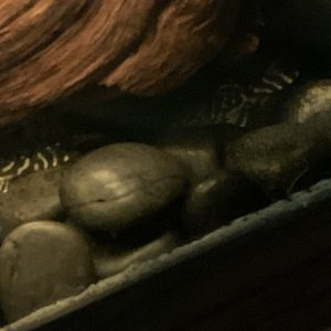 IMG_4120.jpeg