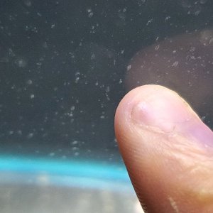 20230727_003855.jpg