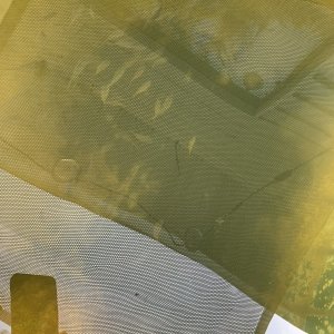IMG_4136.jpeg