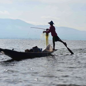 _fisherman.jpg