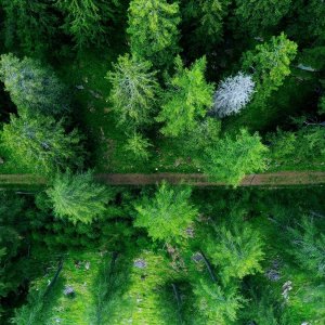 DJI_0566_050201.JPG