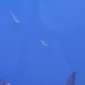 20230814_091652.jpg