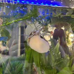 IMG_1173.jpeg