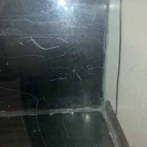 IMG_3340.jpeg