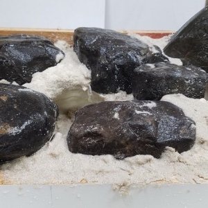 Add substrate.jpg