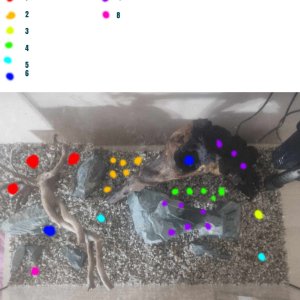PLANT MAP.jpg