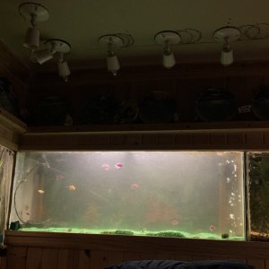 IMG_4260.jpeg