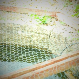 DSCF1419.JPG