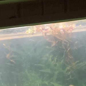 IMG_4291.jpeg