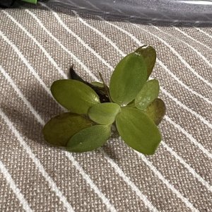 IMG_8464.jpeg