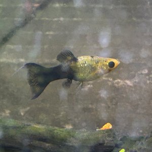 IMG_3021.jpeg