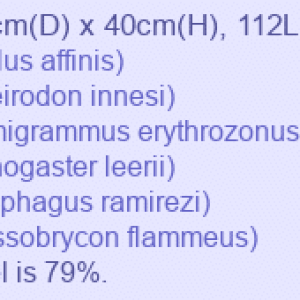 AquStockImage.png