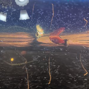 20231014_210251.jpg