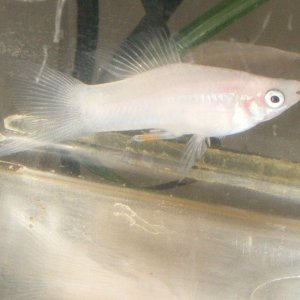 DSCF8638.jpg