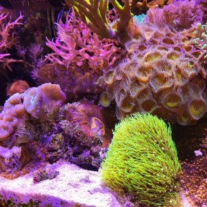 20230827_205112.jpg