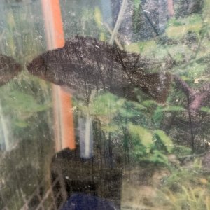 IMG_4407.jpeg