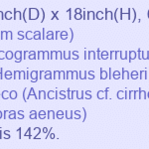 1698724038232.png