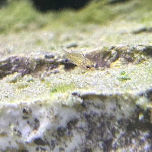 IMG_7871.jpeg