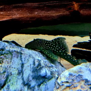 20230916_174124.jpg